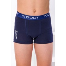 Boxer briefs for boys Wear Your Own 104 Blue (6318-036-4-v5)