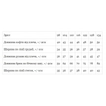 Костюм для хлопчика Носи Своє 98 Сірий (6018-057-33-4-v0)