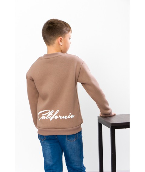 Sweatshirt for boy (teen) Wear Your Own 158 Brown (6235-025-33-v15)