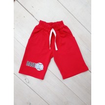 Breeches for boys Wear Your Own 110 Red (6136-057-33-v52)