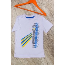 Футболка дитяча "Україна" Носи Своє 110 Білий (6021-У-v43)