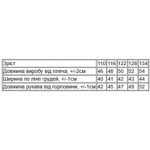 Худі для хлопчика (з капюшоном) Носи Своє 122 Темно-синій (6394-025-4-v7)