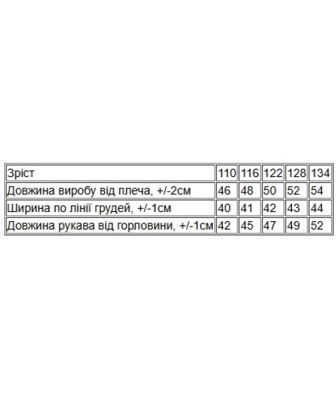 Худі для хлопчика (з капюшоном) Носи Своє 128 Світло-сірий (6394-025-4-v26)