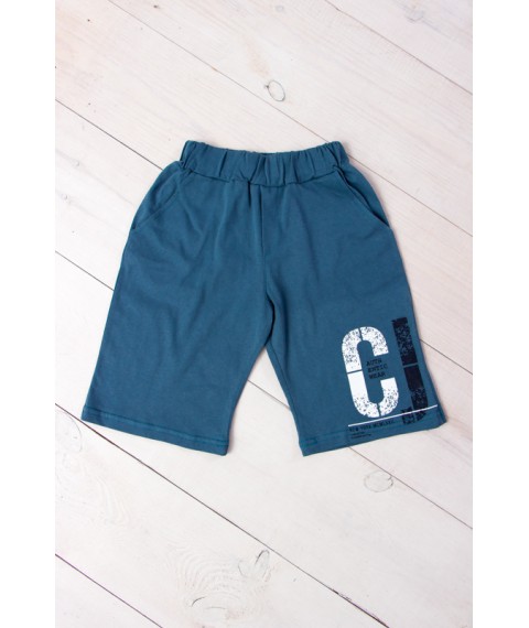 Breeches for boys Wear Your Own 152 Turquoise (6208-001-33-v20)