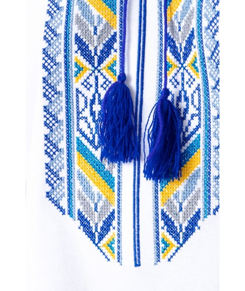 Вишиванка чоловіча з довгим рукавом Носи Своє 46 Блакитний (8605-038-22-v23)