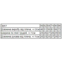Комбінезон ясельний для хлопчика Носи Своє 80 Блакитний (5058-016-4-v8)