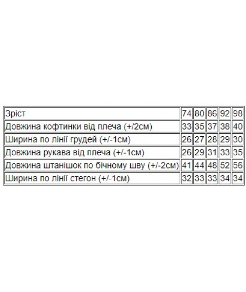 Комплект ясельний для хлопчика Носи Своє 92 Блакитний (5063-023-33-4-1-v6)