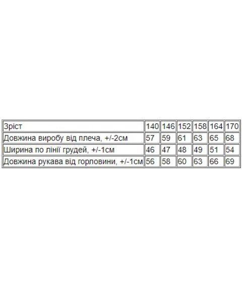 Худі для підлітків Носи Своє 164 Чорний (6394-141-v8)