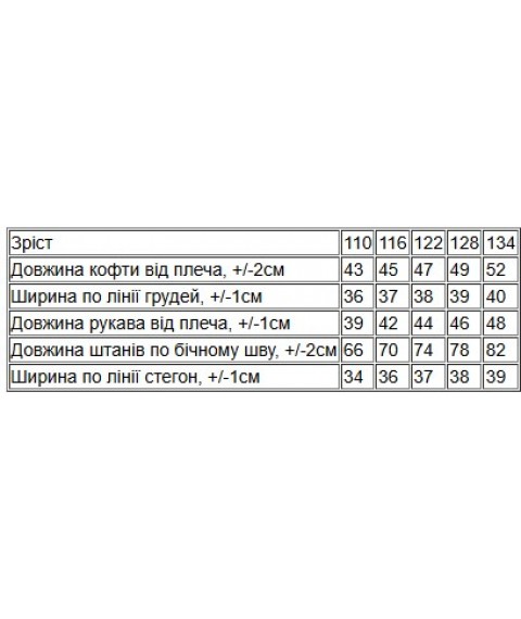 Піжама для хлопчика (тепла) Носи Своє 110 Світло-сірий (6076-024-6-v7)