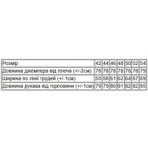 Джемпер чоловічий (оверсайз), 44p. Носи Своє 44 Чорний (8225-057-of)