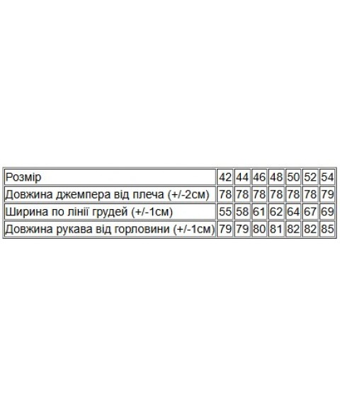 Джемпер чоловічий (оверсайз), 44p. Носи Своє 44 Чорний (8225-057-of)
