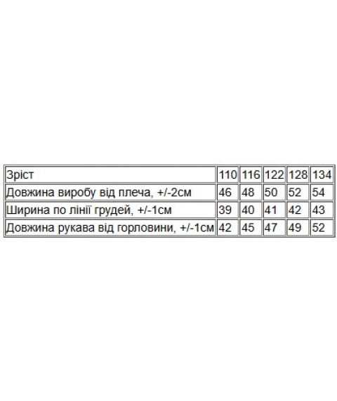 Худі для хлопчика (з капюшоном) Носи Своє 122 Чорний (6394-025-33-4-v5)