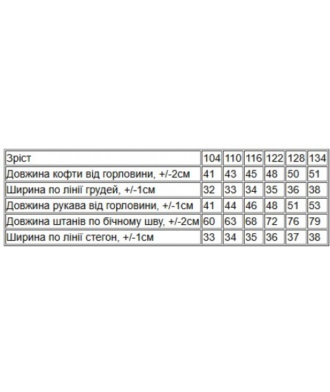 Костюм для хлопчика Носи Своє 104 Світло-сірий (6436-025-33-4)