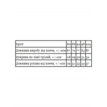 Комбінезон ясельний для хлопчика Носи Своє 104 Ментоловий (5076-016-4)