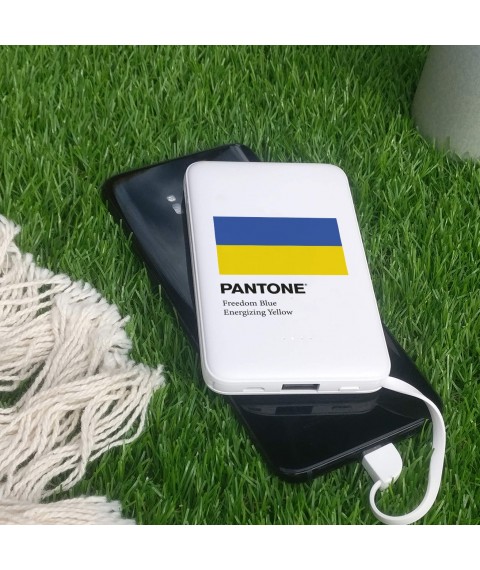 Повербанк ZIZ Украина Pantone 5000 мАч