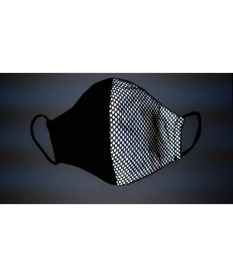 Protective Face Mask With Reflective Insert
