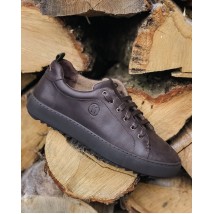Law Classic Brown Sneakers - 45