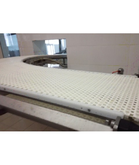 Conveyor systems for bottling and packaging lines (from the manufacturer)