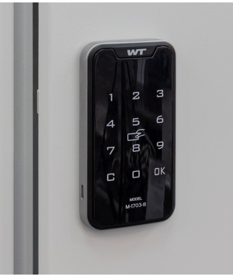Large electronic touch lock with the ability to use a plastic card