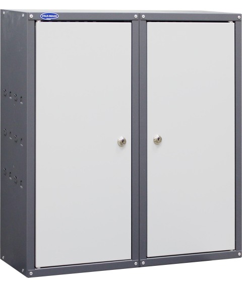 Instrumental box BI-2s