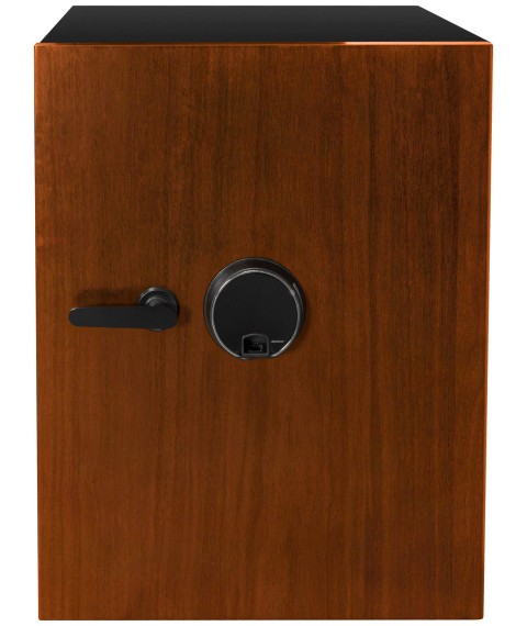 Safe DBAUM700 BASIC