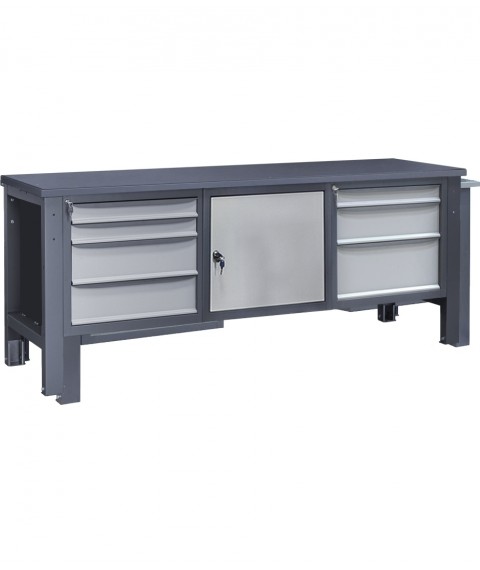 Workbench heavy series 210 Ch 2M2S SME D