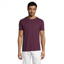 Men's burgundy Regent XL T-shirt