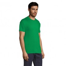 Men's T-shirt light green Regent