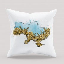 Pillow Map of Ukraine in colors