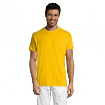 Men's yellow T-shirt Regent