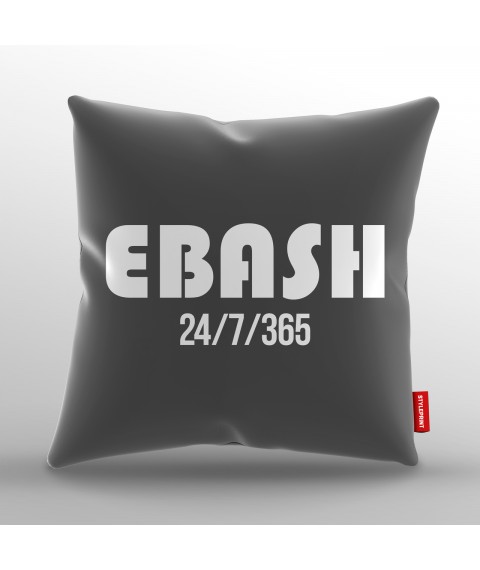 Ebash pillow