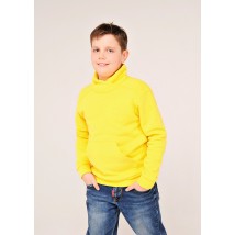 Hoodie for a boy yellow TSHF-129 DM SASHKA 116