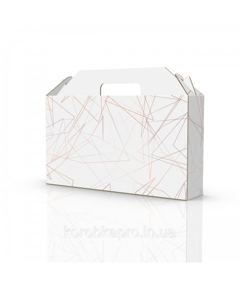 Gift packaging with handle 370x80x210 mm