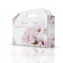 Gift packaging with handle 370x80x210 mm