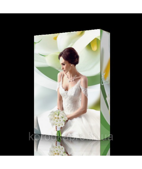 Corrugated box with color printing 320x100x430 mm