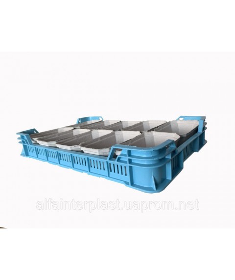 Box for raspberries. HDPE type OZM 600x400x100 mm HDPE secondary. Free Delivery Delivery.