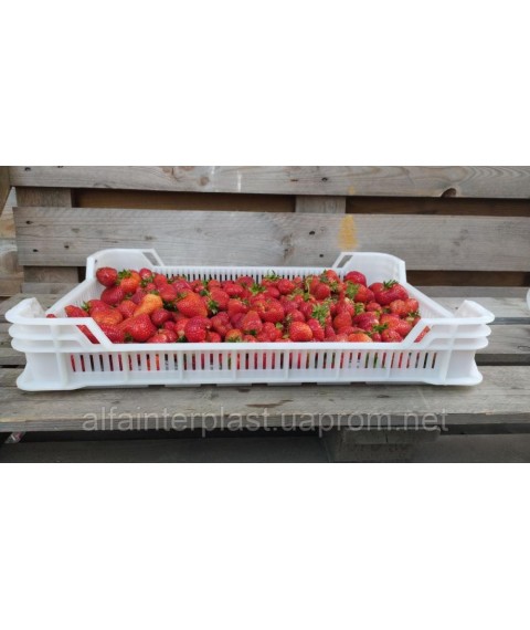 Box for yagid. Raspberries. HDPE type OZM 600x400x100 mm first. Free shipping Delivery.