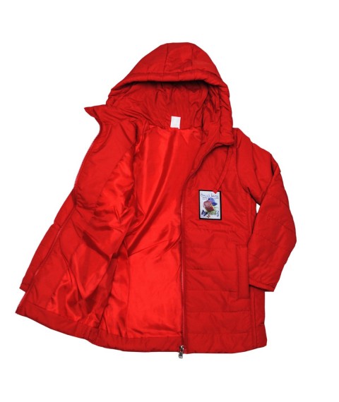 Jacket 22446 red