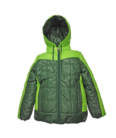 Jacket 2608 green