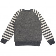 Boy's sweater 530321 gray