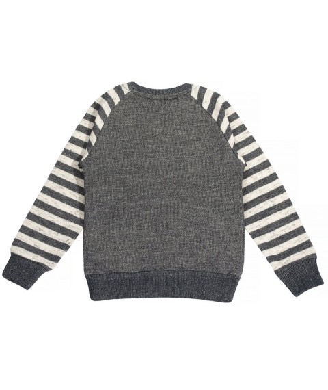 Boy's sweater 530321 gray