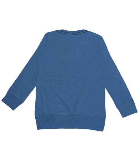 Boy's sweater 530474
