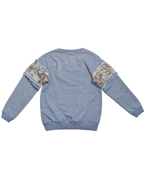 Sweater 530586 gray