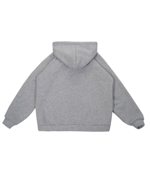 Sweater 555164 gray