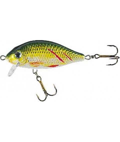 Воблер Jaxon HS Karas SW 7cm колір KRX, вага 10g загл. 0,2-0,7m плав.