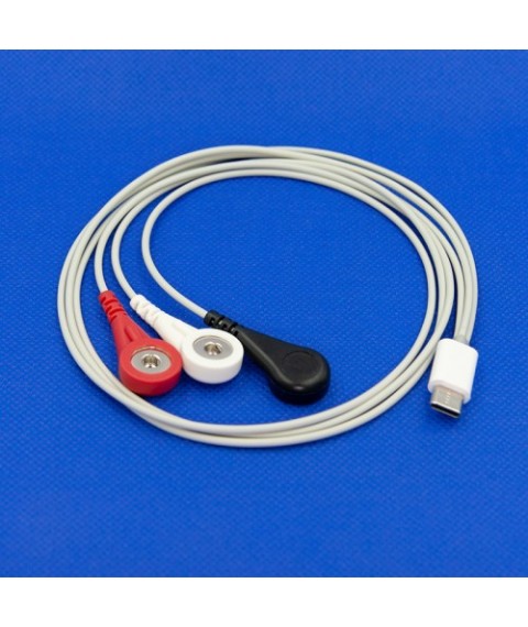 Lead cable 3A, type C24