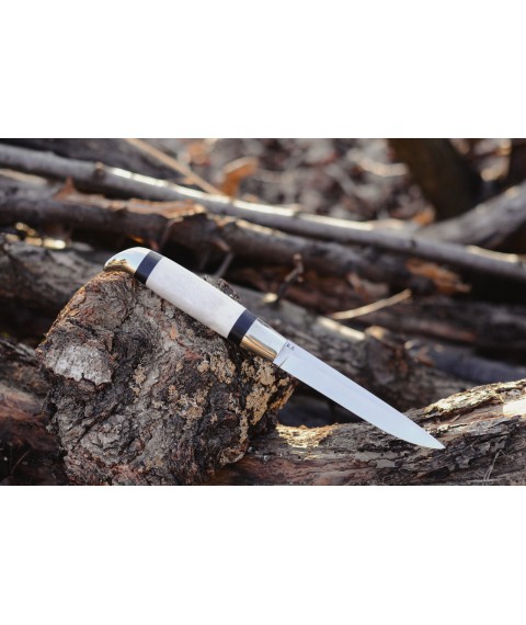 Handmade knife "Fink in the horn" elk horn + hornbeam, steel N690