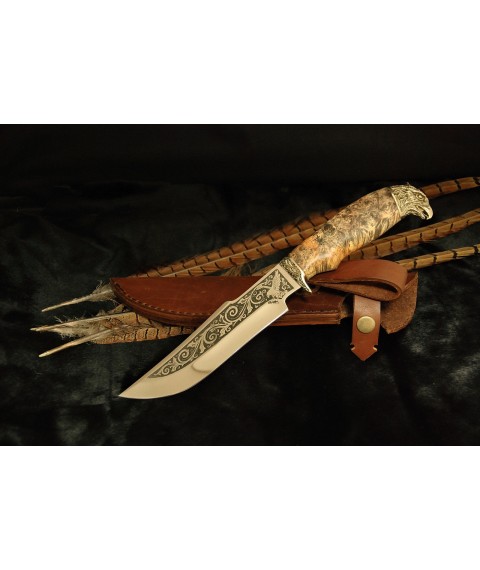 Knife "Falcon" stainless steel, maple burl
