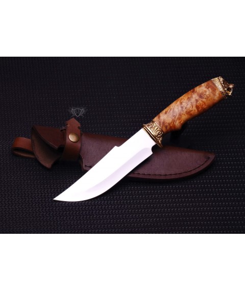 Handmade knife "Lion in a burl" stainless steel, maple burl