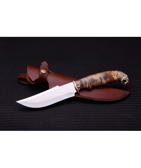 Handmade knife "Royal serpent in burl" clean blade